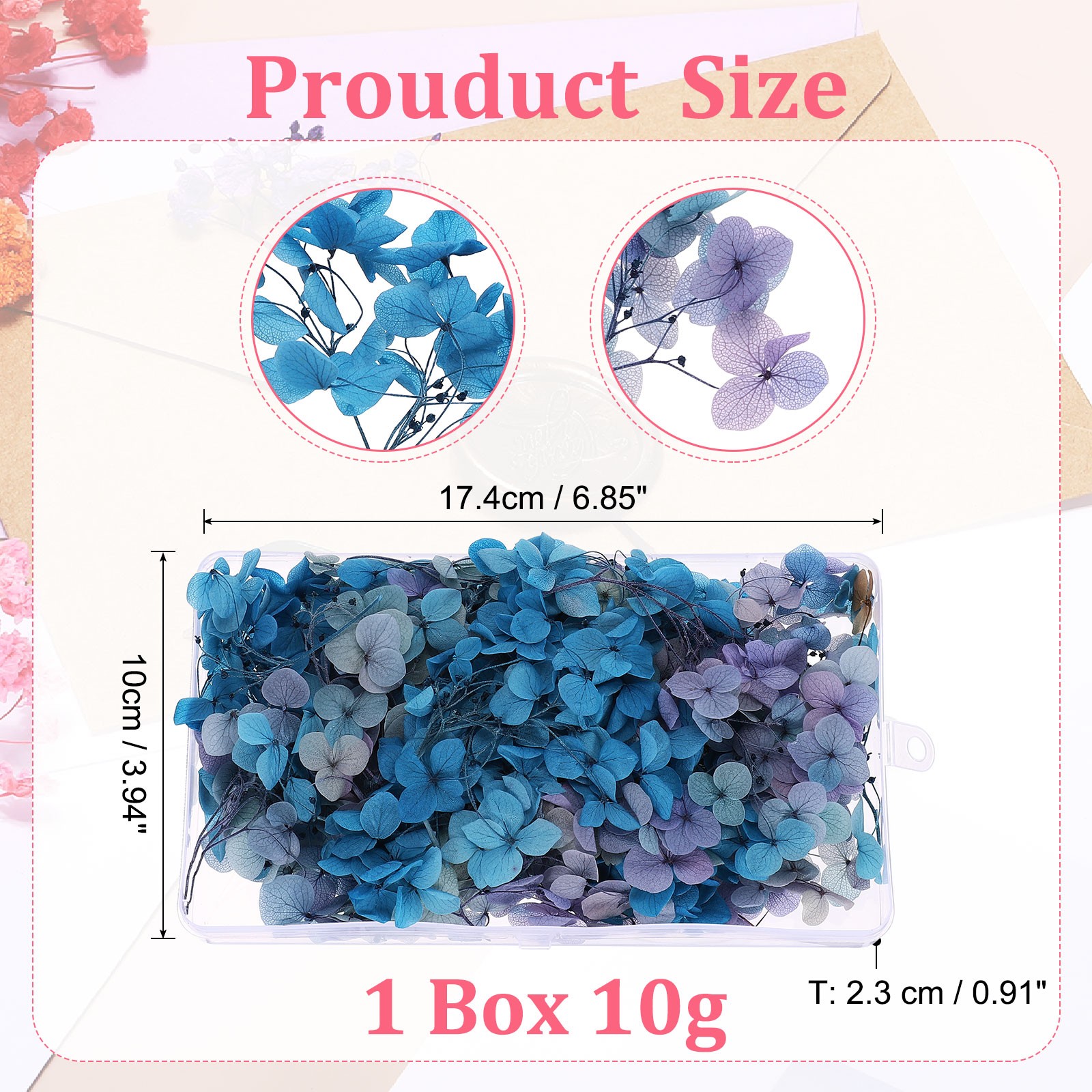 10g Mini Dried Hydrangea Flower Natural Pressed Flower Gradient Blue