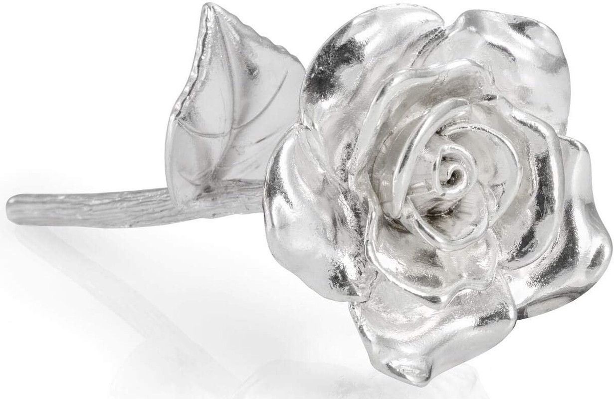 BESZONE Tin Rose 10Th Anniversary for Her Gift – Tin Gift 10 Year Wedding Annive