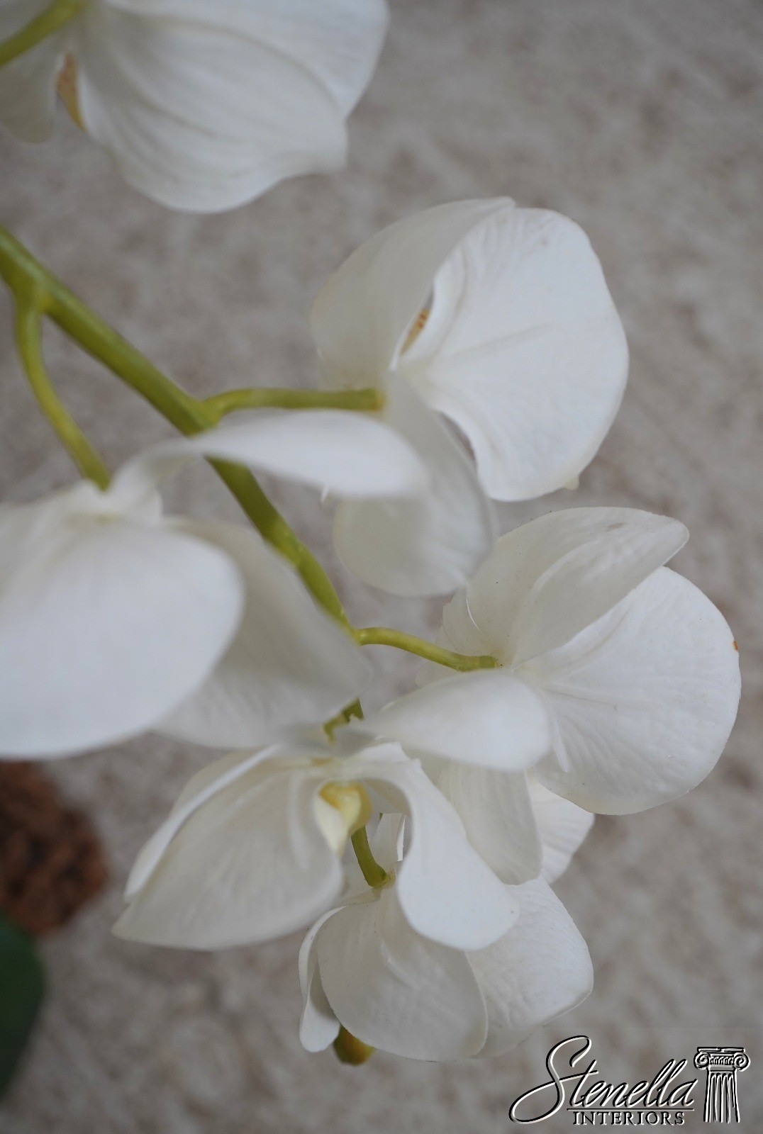 LF67429: Large Silk Flower Mother Orchid In Woven Basket
