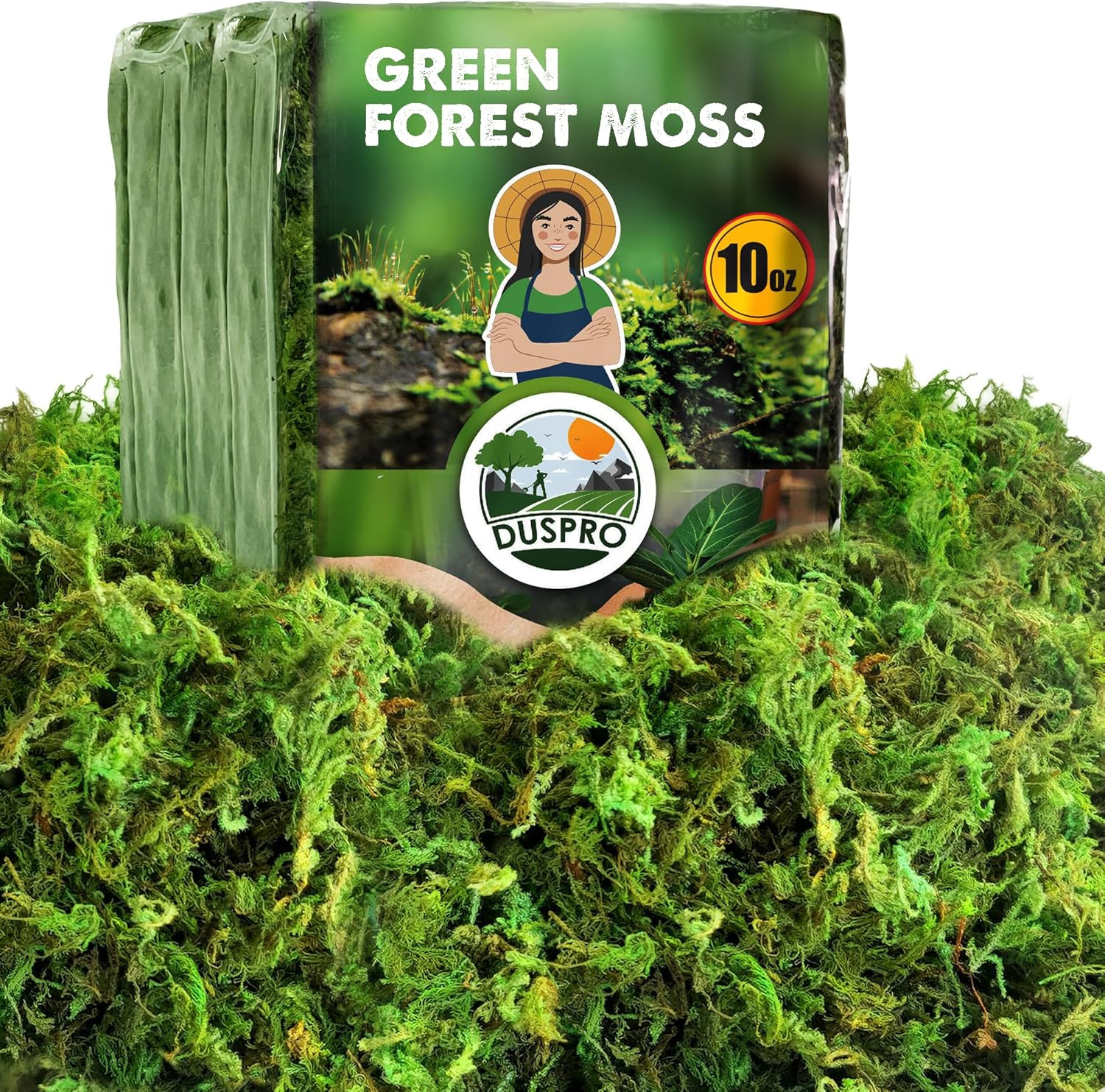 [Upgraded] Green Moss for Crafts, Real Forest Moss Potted Plants, Decorative Mo