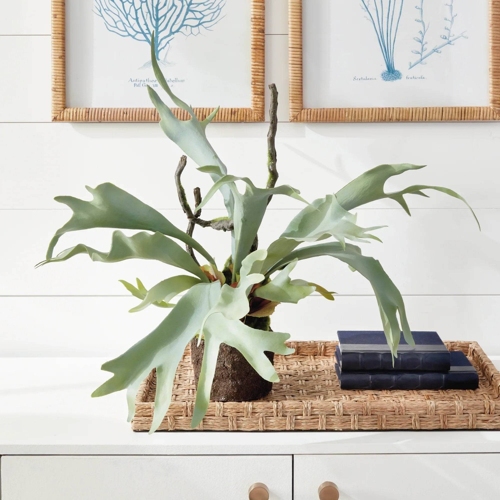 Staghorn Artificial Fern Drop-In 22″
