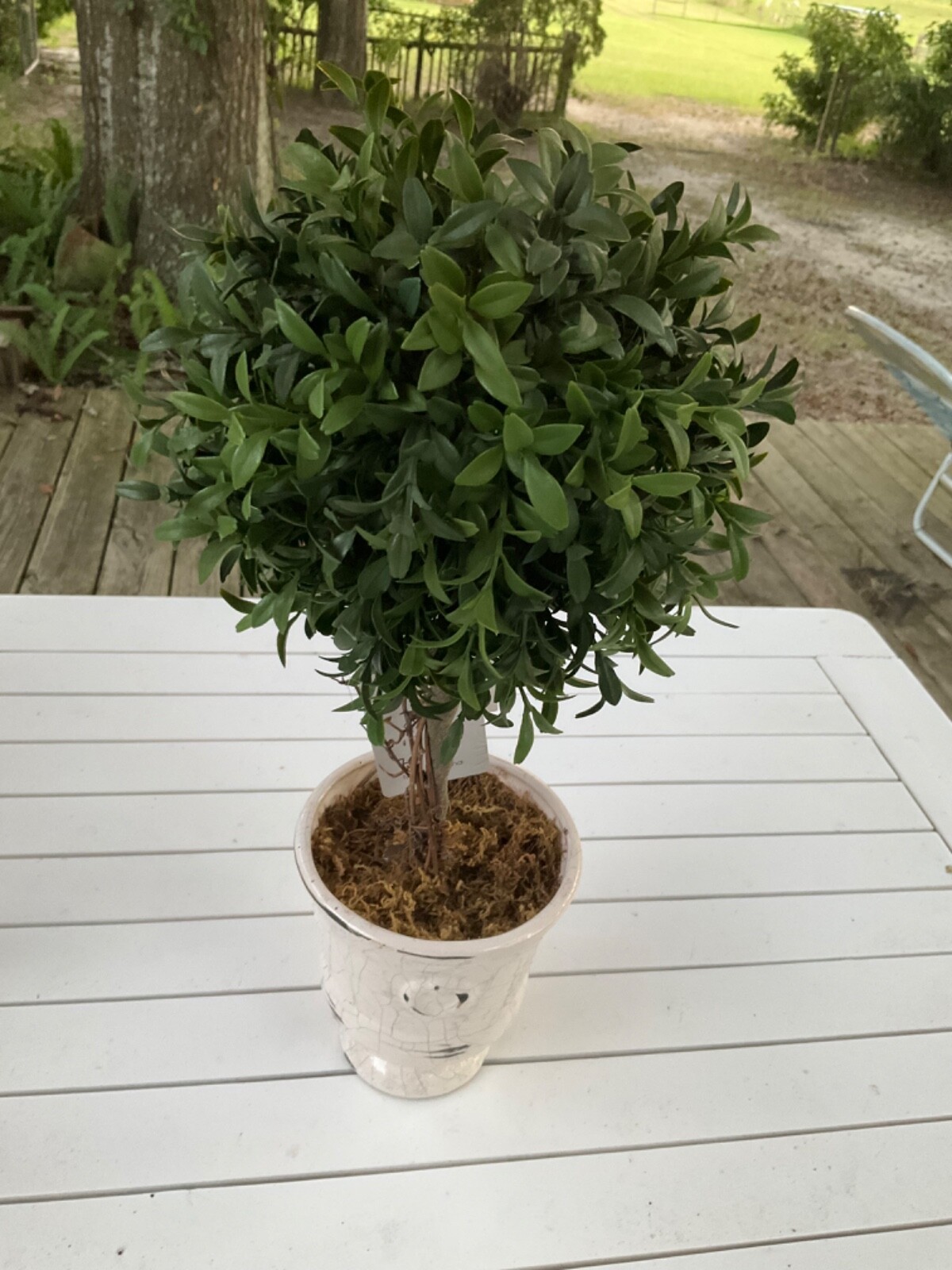 2 Artificial Plant Boxwood Topiary Tree Ball Shaped Distressed Ceramic Pot