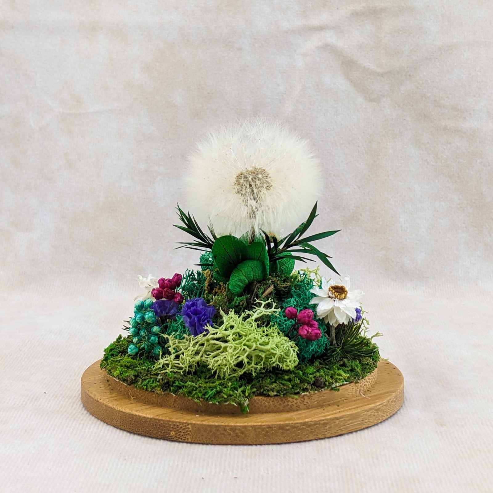 Dandelion Head all natural flowers Lg Glass Dome display collectible decor gif