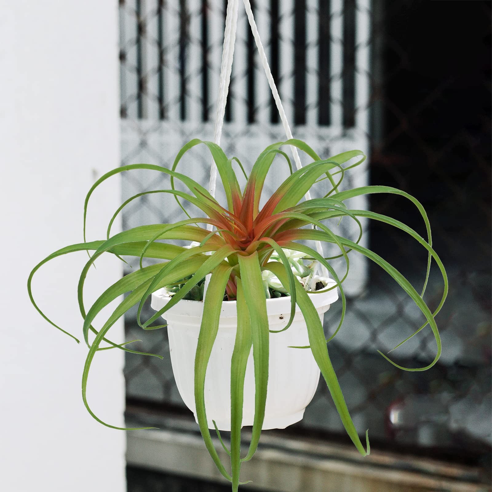 Succulents Plants Artificial, Large Fake Succulents Unpotted Flowers Pineappl…