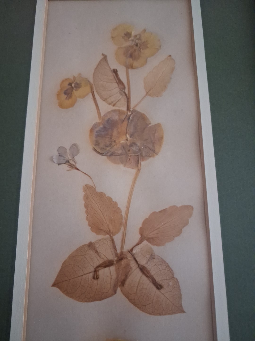 Wall Art Dried Pressed Real Flowers in Frame 21″x9″ 1967