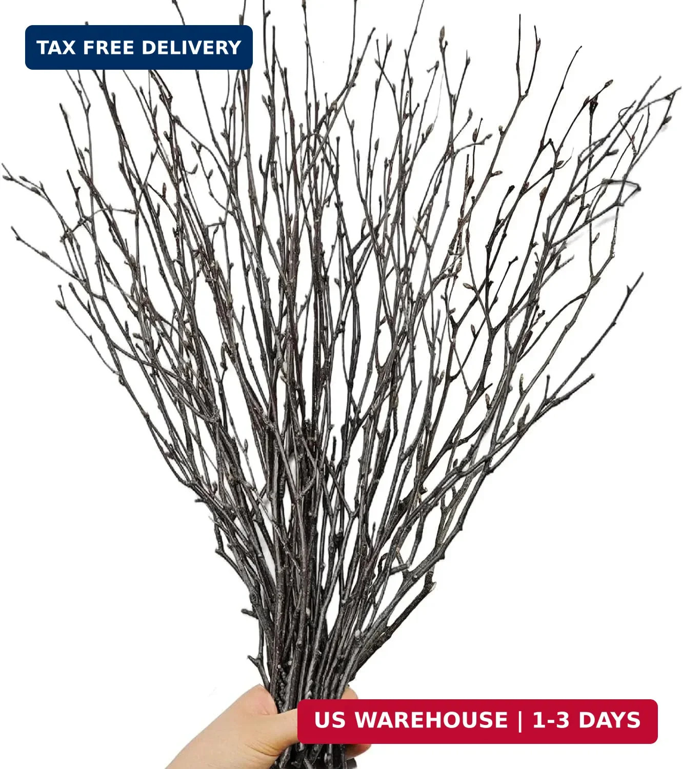30Pcs Real Dried Birch Twigs – 16″ Decorative 100% Natural Birch Branches for Ea