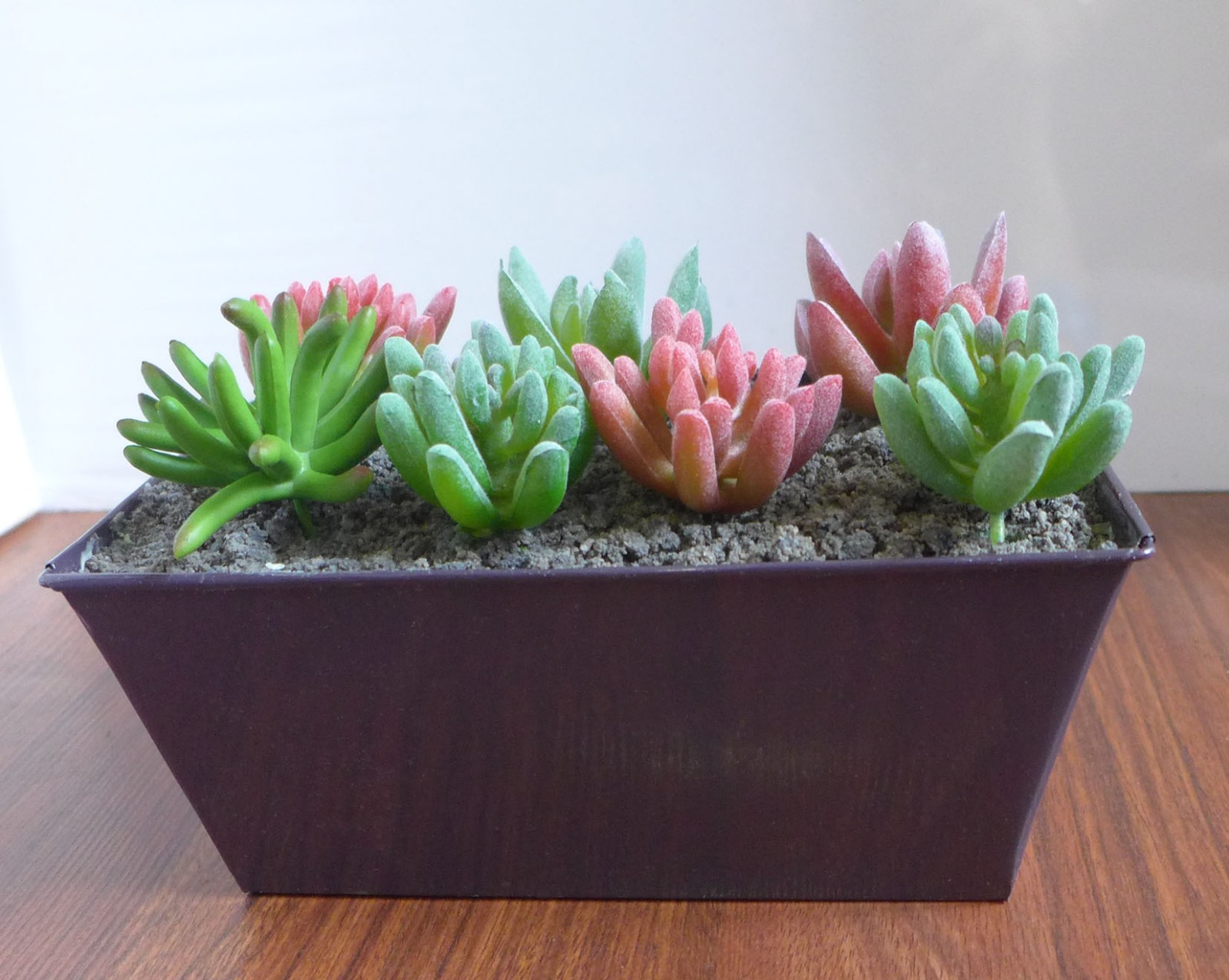 Set of 7 Artificial Flocking Mini Succulents Grass Landscape