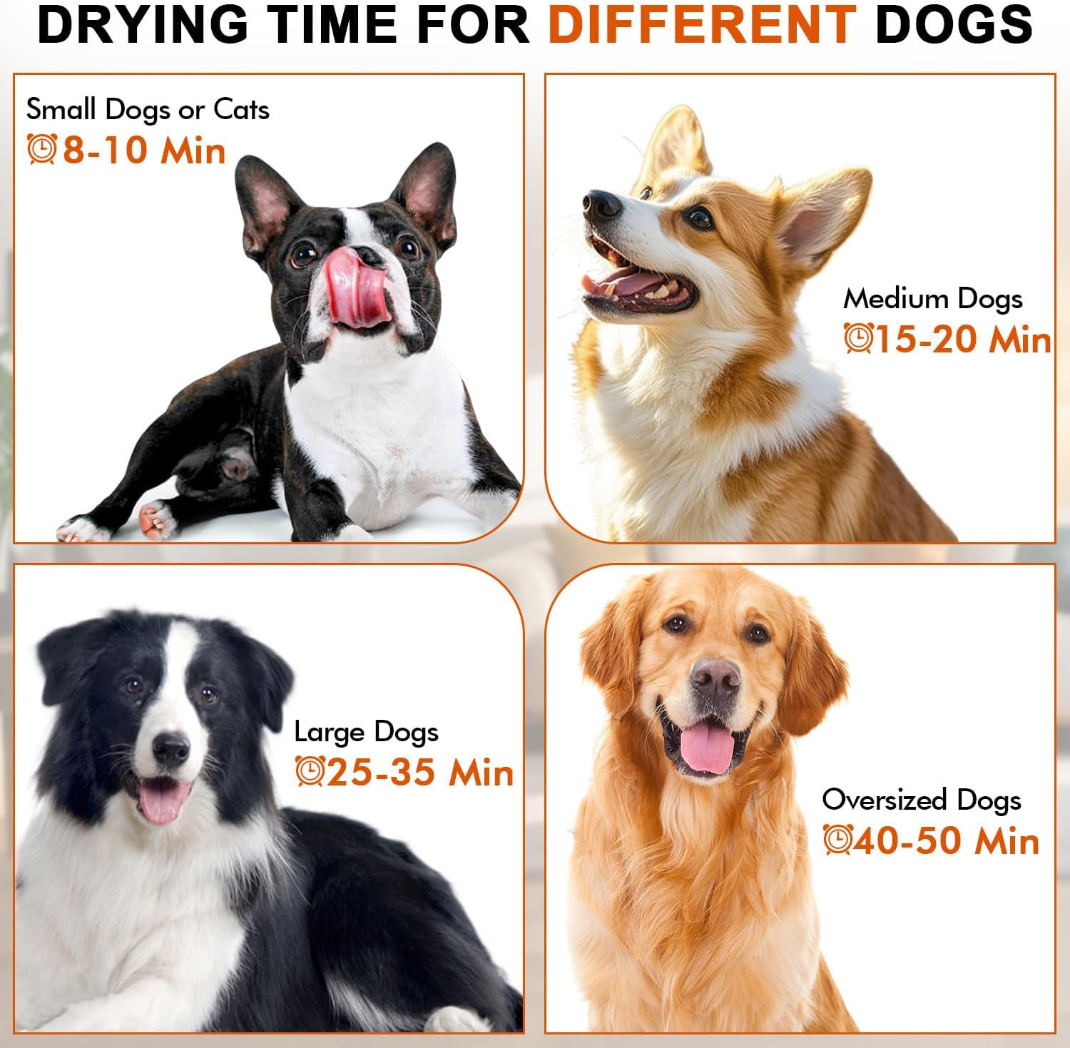High Velocity Dog Hair Dryer with 4 Nozzles, Adjustable Speed & Temp Control