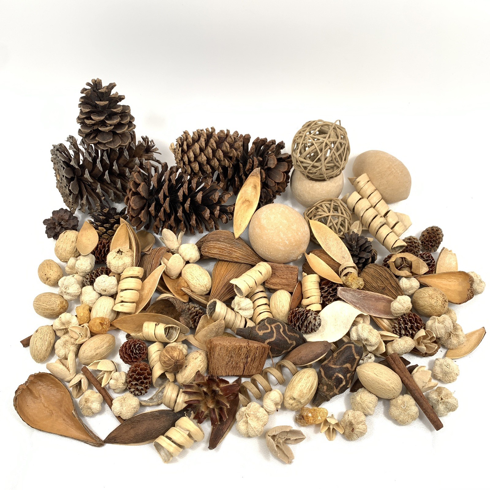 Natural Bowl Filer Decor Dried Pods Bush Nuts Seed Pods Pine Cones Rattan Balls