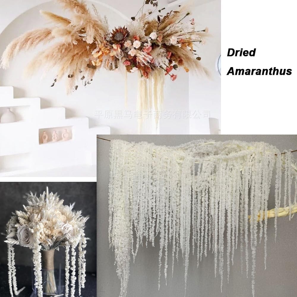 5Pcs Dried Preserved Amaranthus Hanging Flowers 35 Inches White Wisteria Vine…