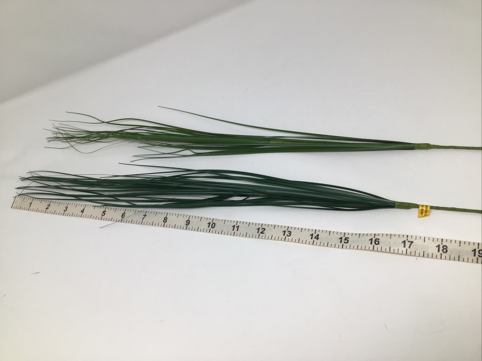 Onion Grass Floral Pick Green 27” Arrangement Basket Filler 2 Picks NOS