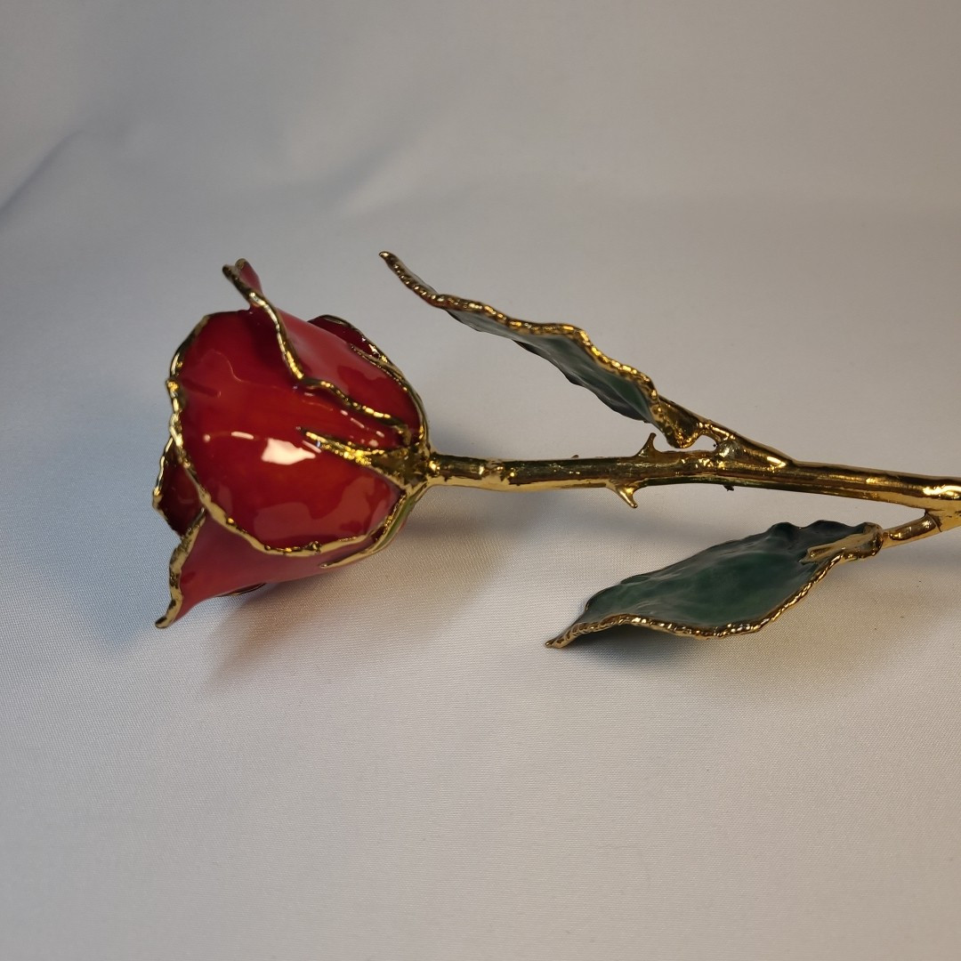Lacquer Dipped Gold Trim Red Rose 11 in