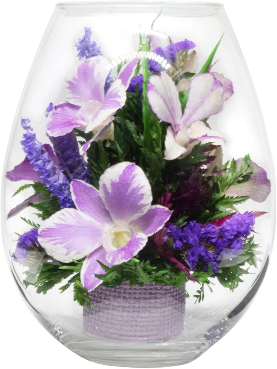 Fiora Flower Elegant Orchid Arrangement in Glass Vase Preserved Real Orchids L