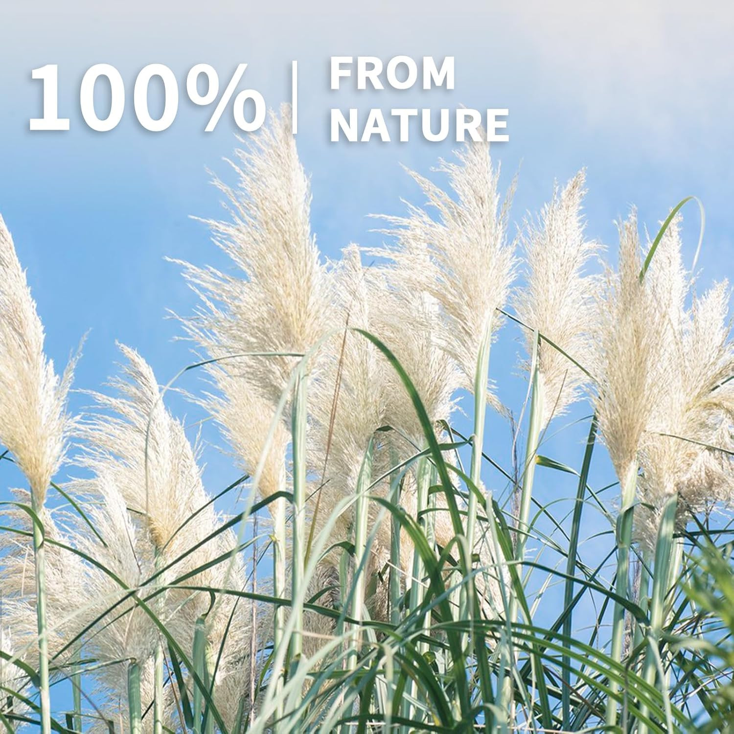 17″ 100Pcs Dried Pampas Grass Decor, Naturally Small Boho Pampas Grass with Bunn