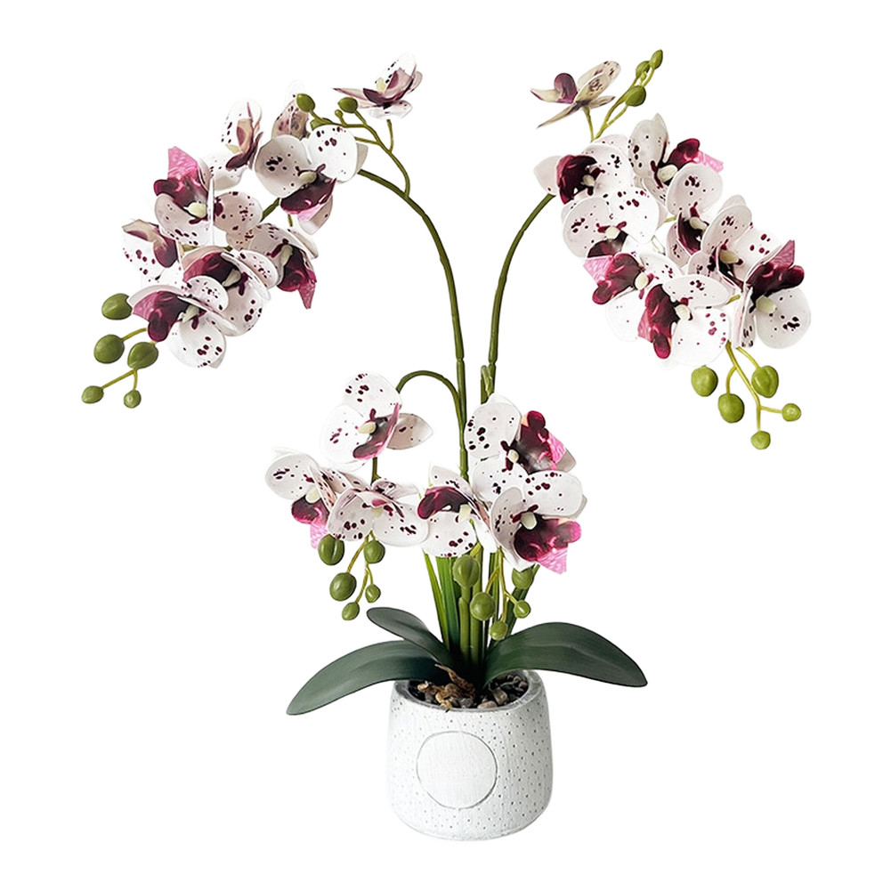 24-Head Artificial Orchid with Delicate Buds and Leaves in Speckled Pot