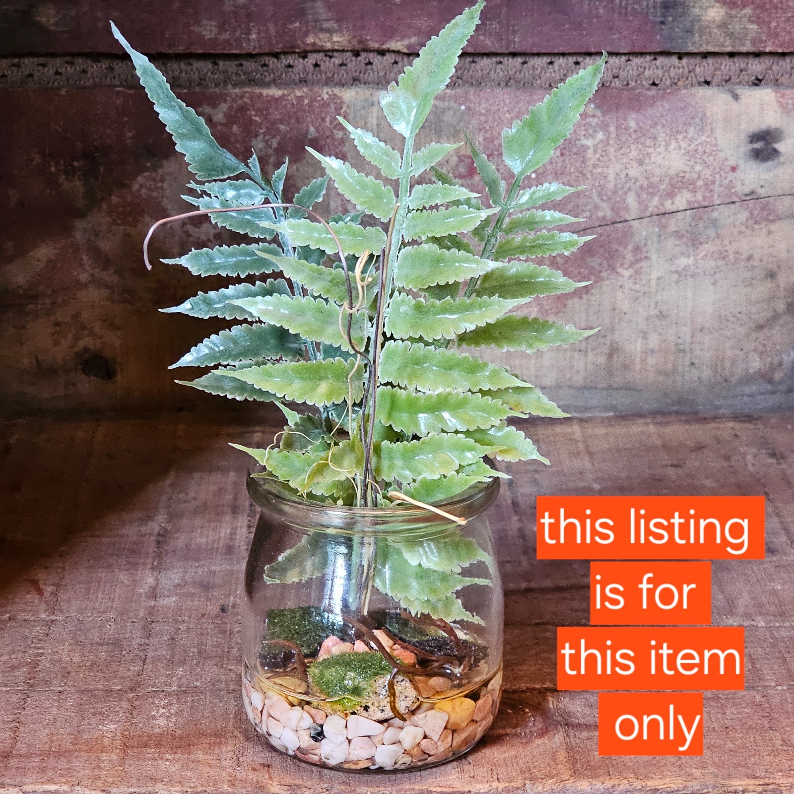 Boston Fern with Fake water Tiered Tray Artificial plants Primitives by Kathy