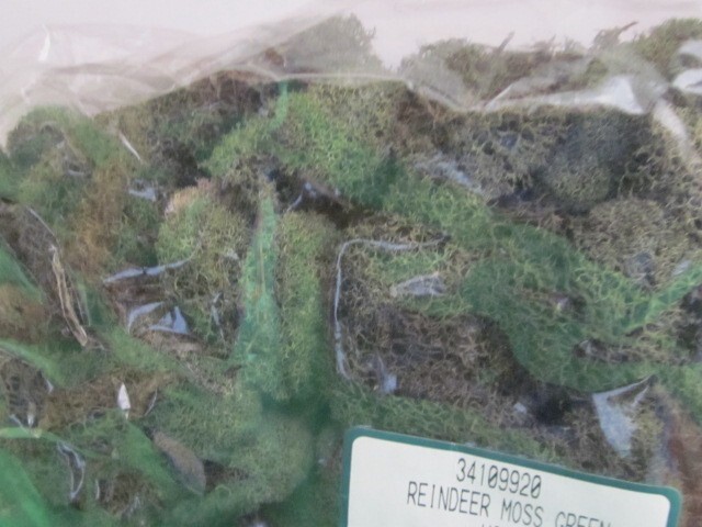 PRESERVED NATURAL REINDEER MOSS GREEN FOR CRAFTS VILLAGES & RAILROAD DISPLAYS