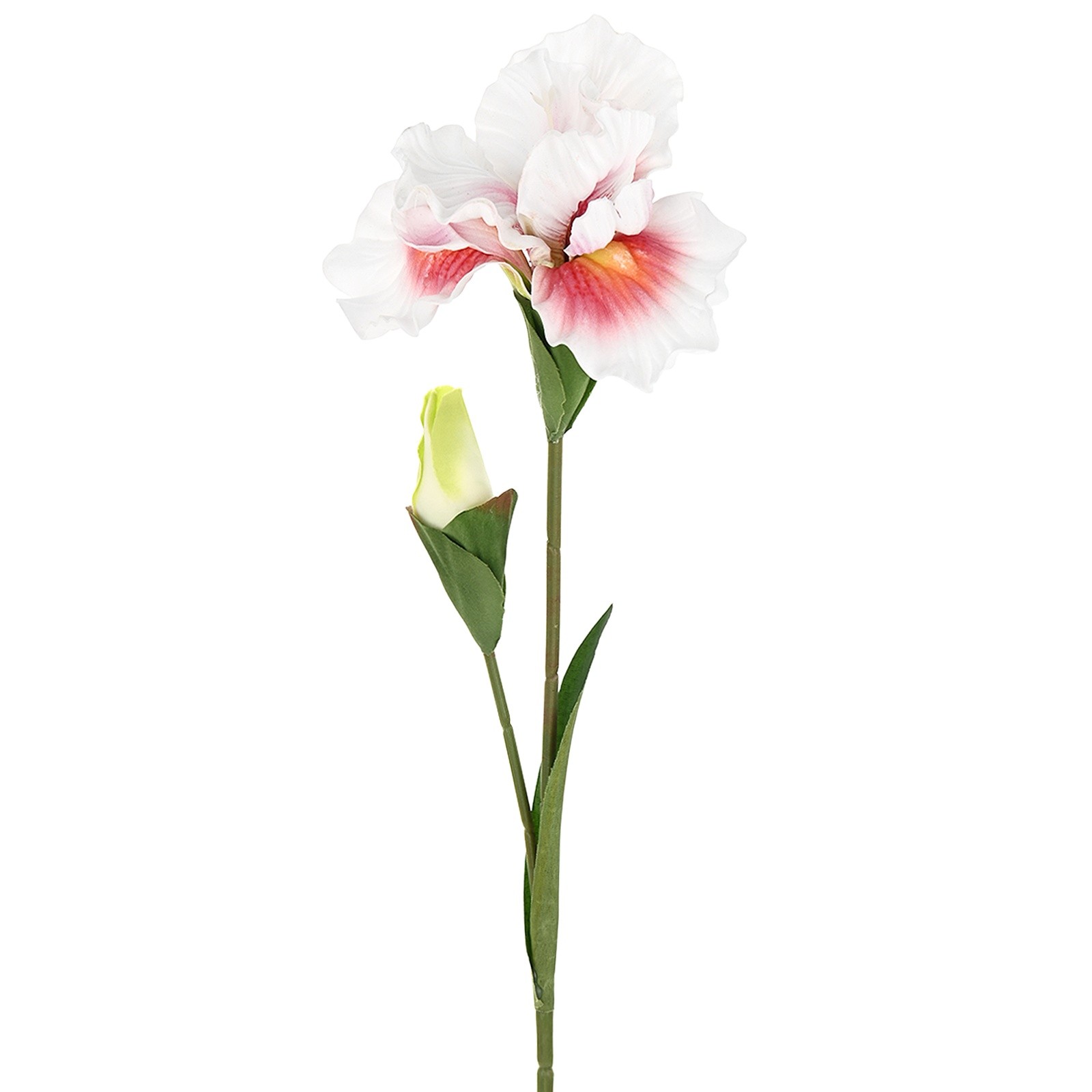 1-Pack Artificial Iris Flowers with Flower Bud 17.7 Inch for Home [White Pink]