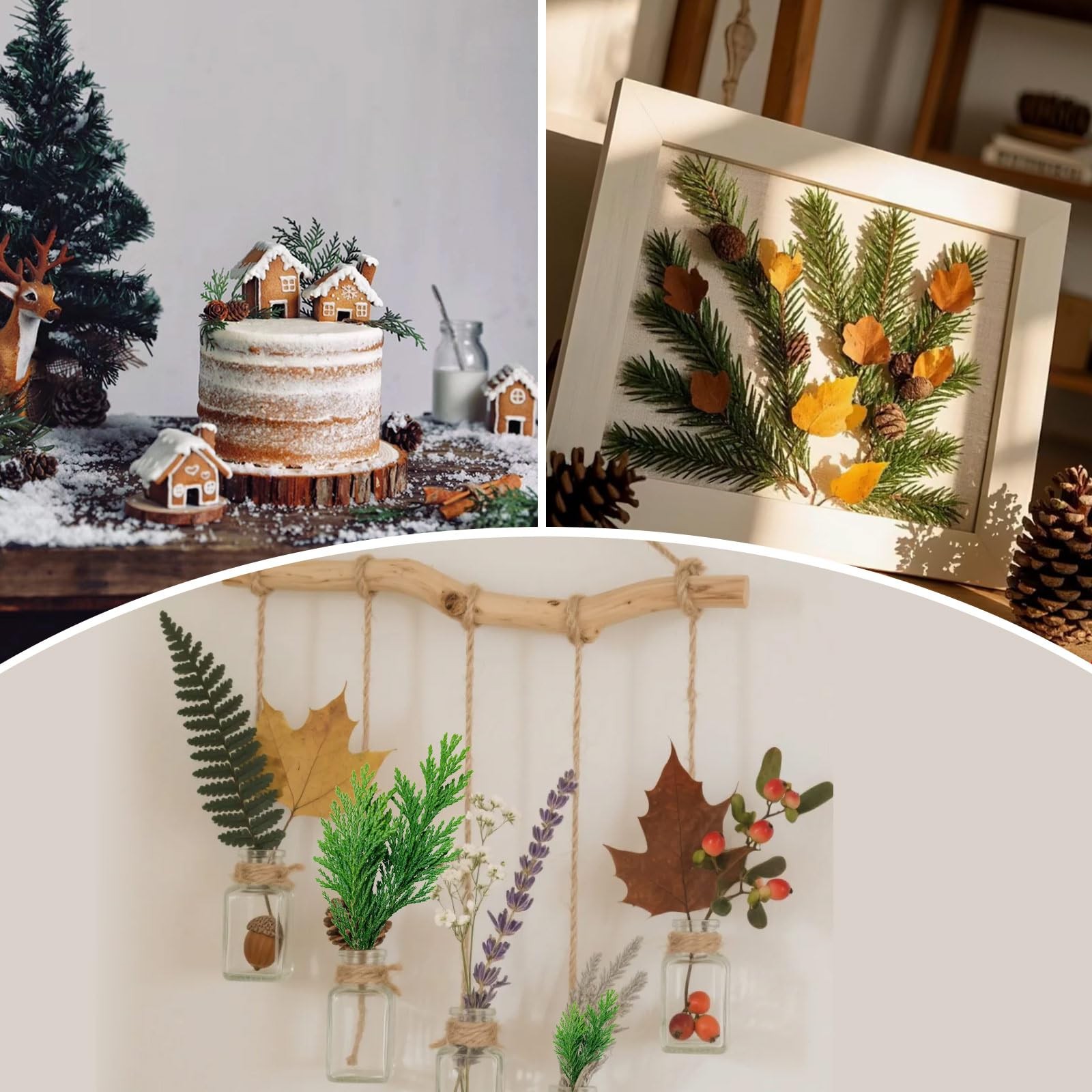Real Pressed Pine Leaves Branches for Christmas Crafts, Natural Dried Botanic…