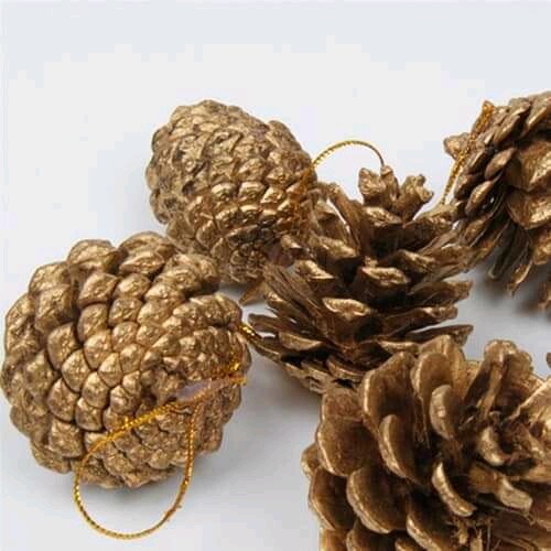 Pine Cones Decorative Natural For Florists Crafts 3PCS Quality Home Decoration
