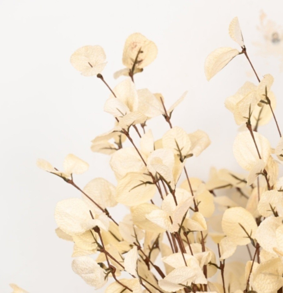 One Primrue 26″ Cream Faux Eucalyptus Stem – Boho Home Decor!
