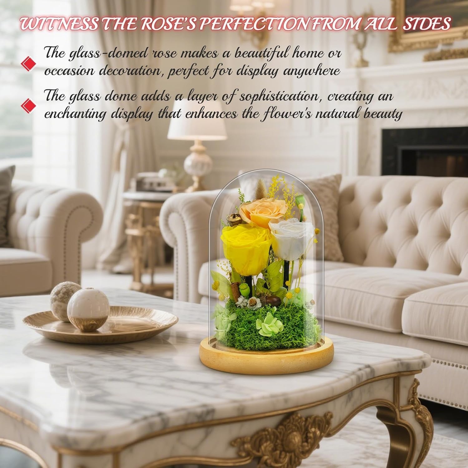 DUONABEILA Preserved Flowers Gifts for Mom Grandma, Eternal Rose in Glass Dome