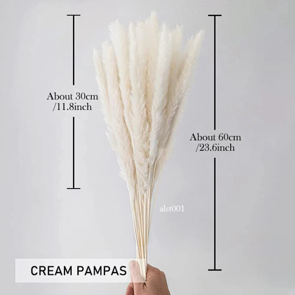 Grass Decor Home Decor Bouquet Natural Fluffy Dried Flowers for Wedding Floral