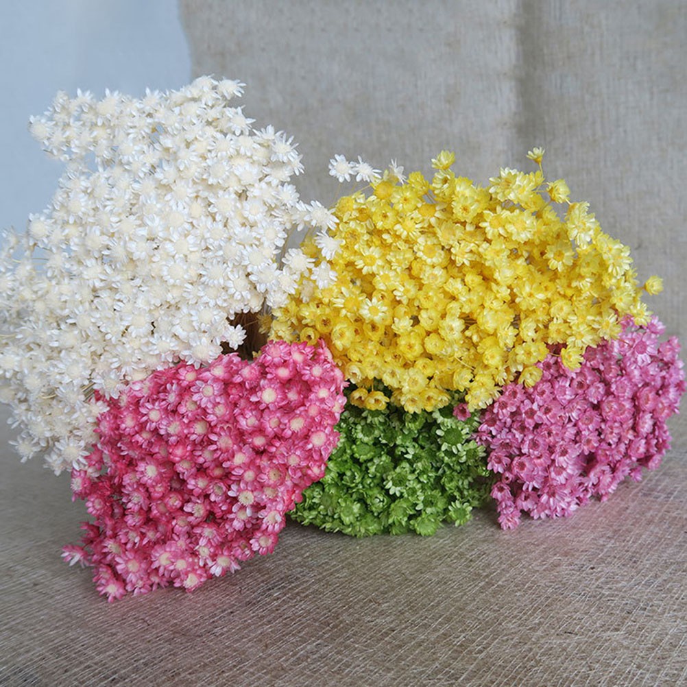 100Pcs Handmade Small Star Flower Dried Flowers Mini Daisy Yellow Floral Display