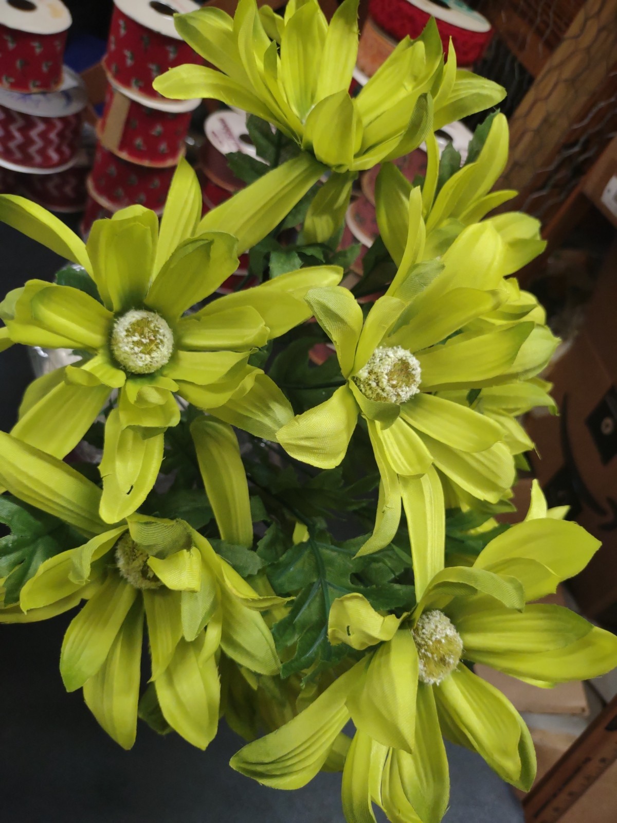 18″ Spider Dahlia, Silk Bush “Grand Teton” w 9 Stems, Spring Green, 5″ Blooms