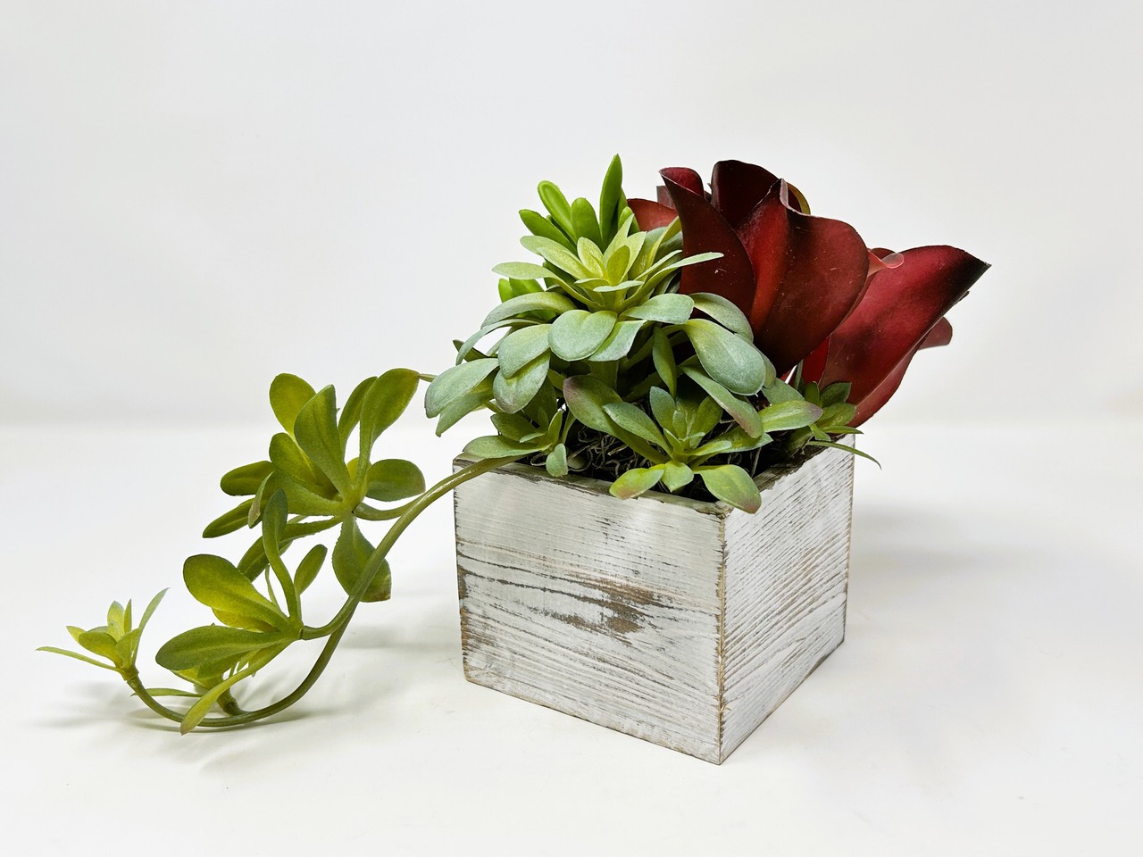 7″ Unique Artificial Red & Green mixed Succulent Garden #23, White-washed wooden