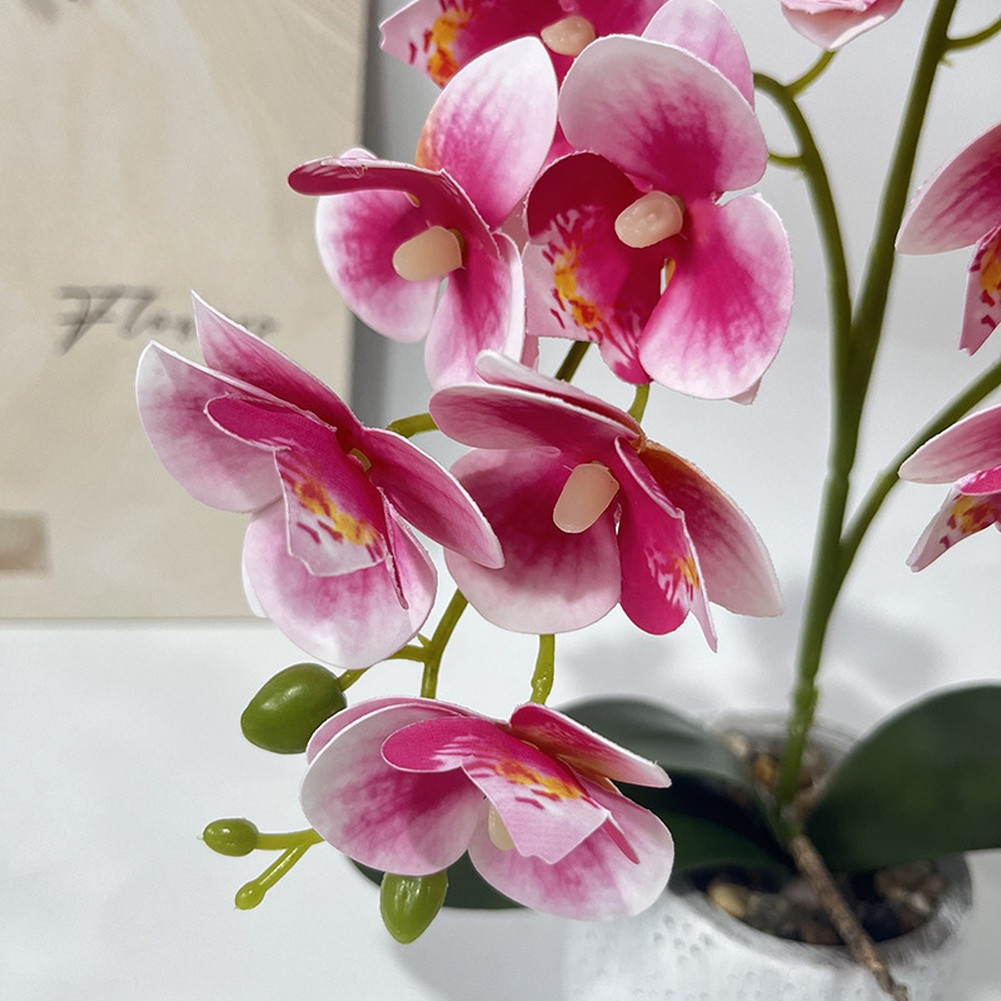 Synthetic Butterfly Orchid in Matte Cement Pot for Modern Farmhouse Decor Style