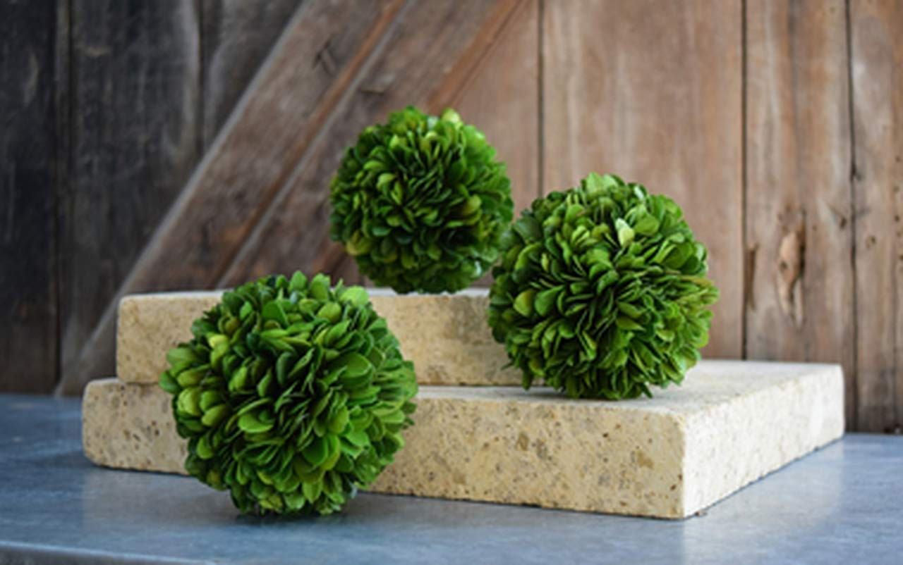 Boxwood Topiary Ball 5 inches Preserved Boxwood Decorative Balls for Wedding,…