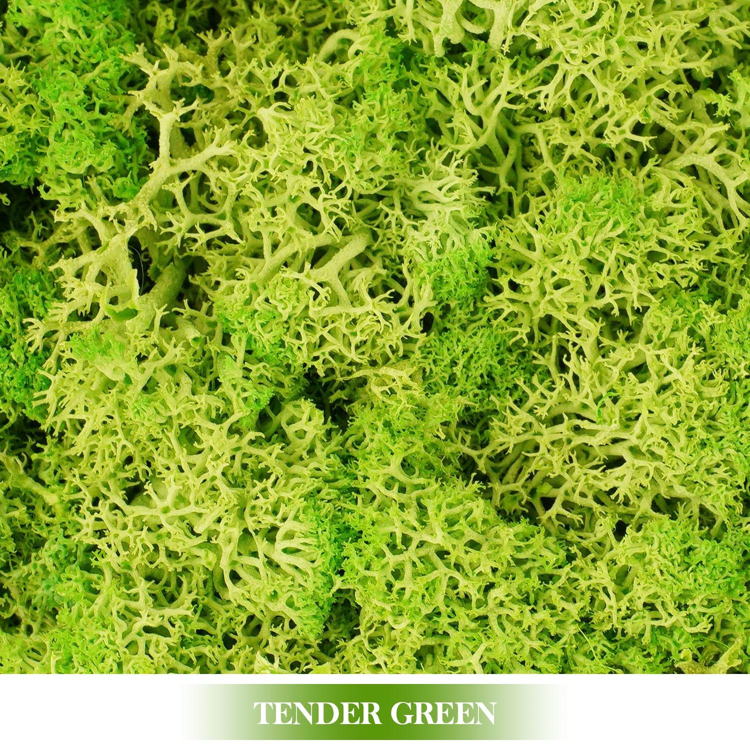 Artificial Green Moss, Eternal Life DIY Grass for Home, Garden & Mini Landscape