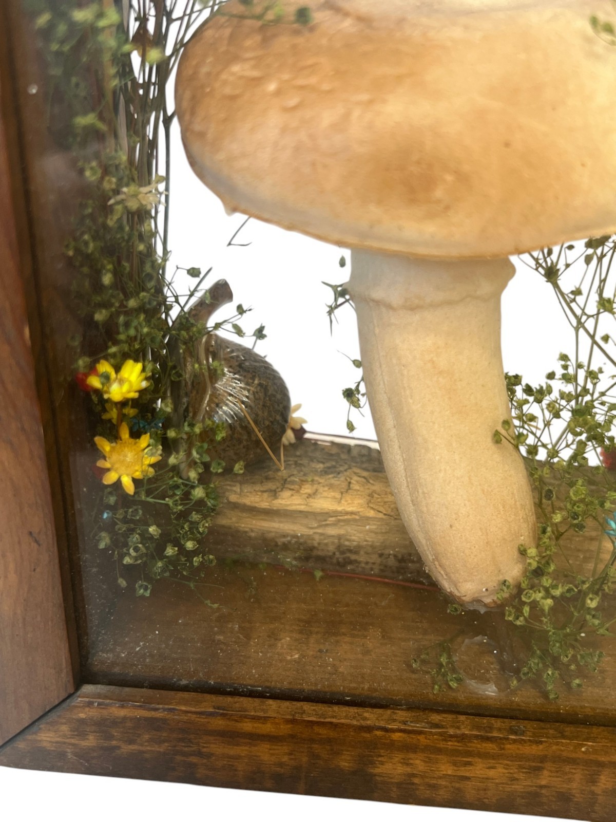 Vtg Cottage Core Mushroom Shadow Box Wood 1970s Decor Fairy Garden MCM Merry