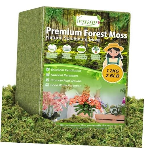 Green Moss for Crafts, Real Forest Moss for Plants Indoor, Table 2.6 LBS