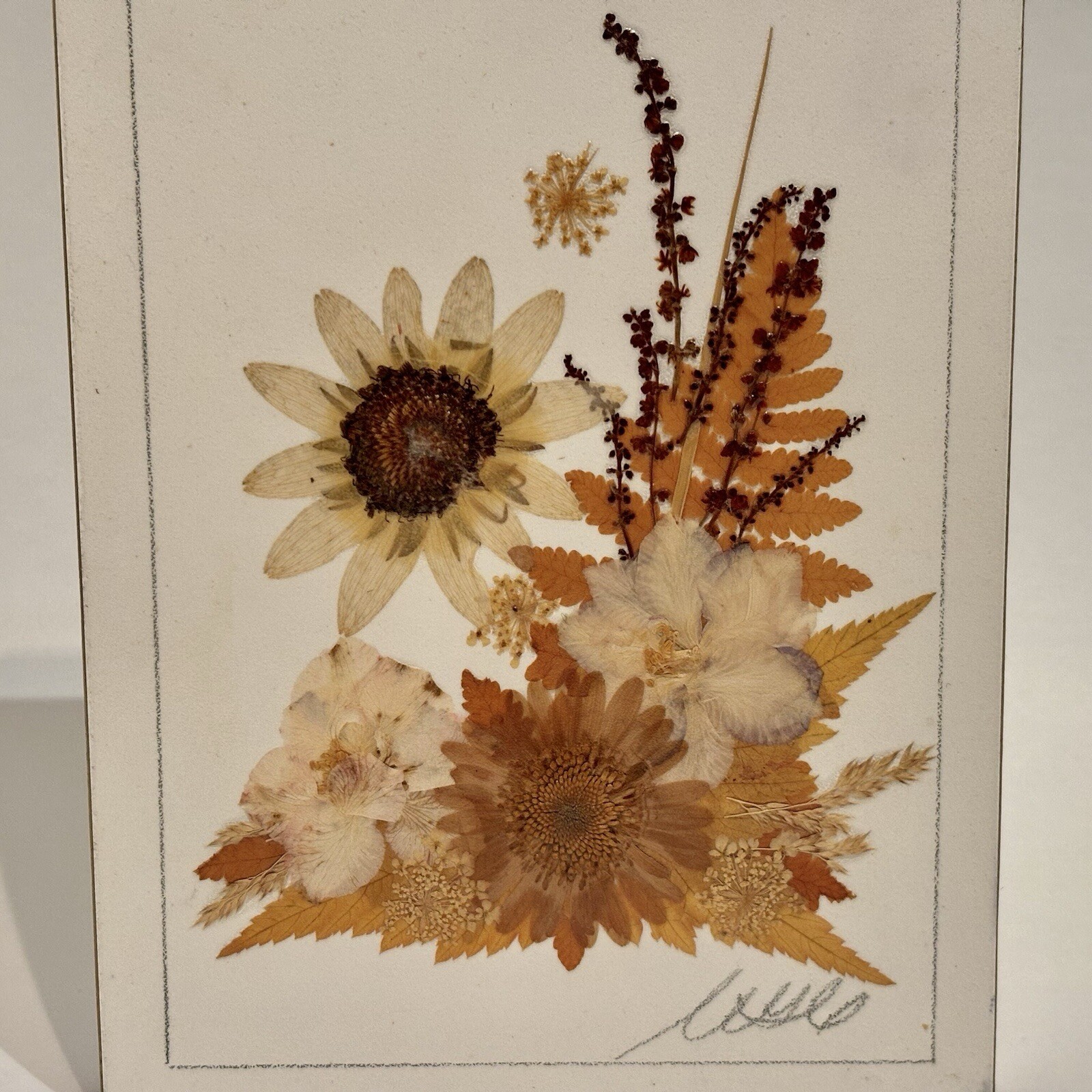 Country Girl Creations Naturally Preserved Flowers Leaves Wall Art Canada 6.5″