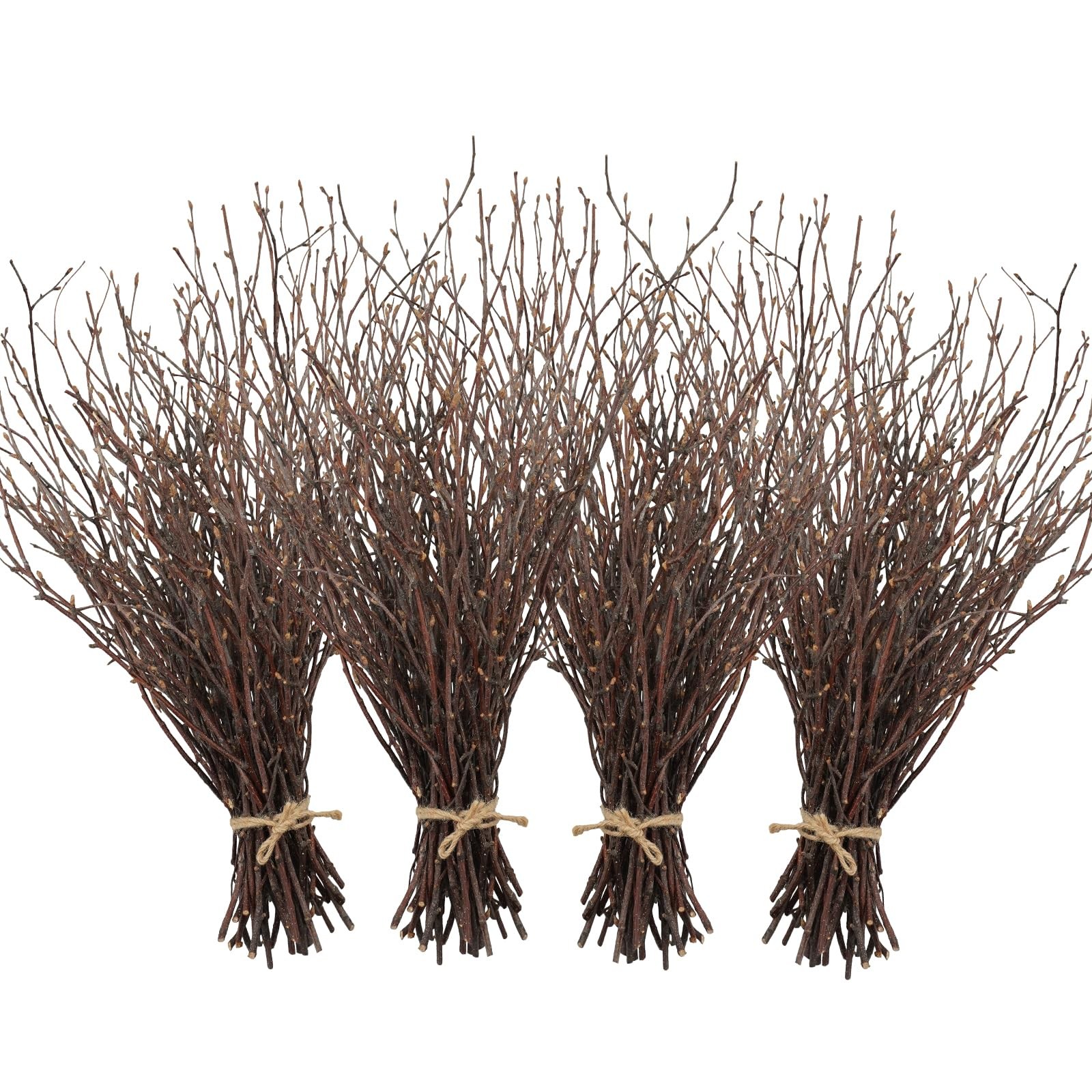 200 PCS Birch Twigs 17 Inch Natural Dried Plants Decorative Branches DIY Crafts