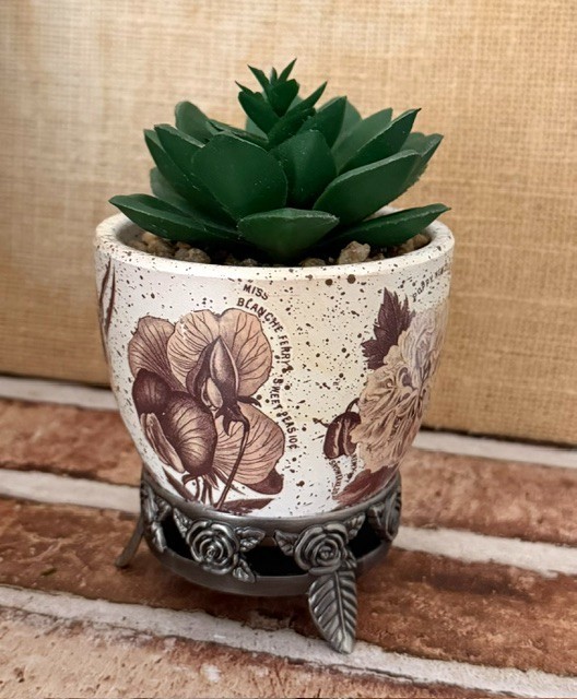 SMALL ARTIFICIAL SUCCULENT PLANT SHELF-SITTER DESK-TOP DECOR DORM ACCESSORY