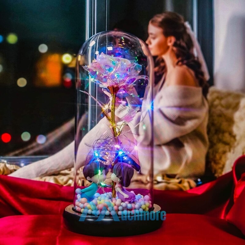 Rose Flower In Glass with LED Light Gifts For Her Valentine Girlfriend Birthday