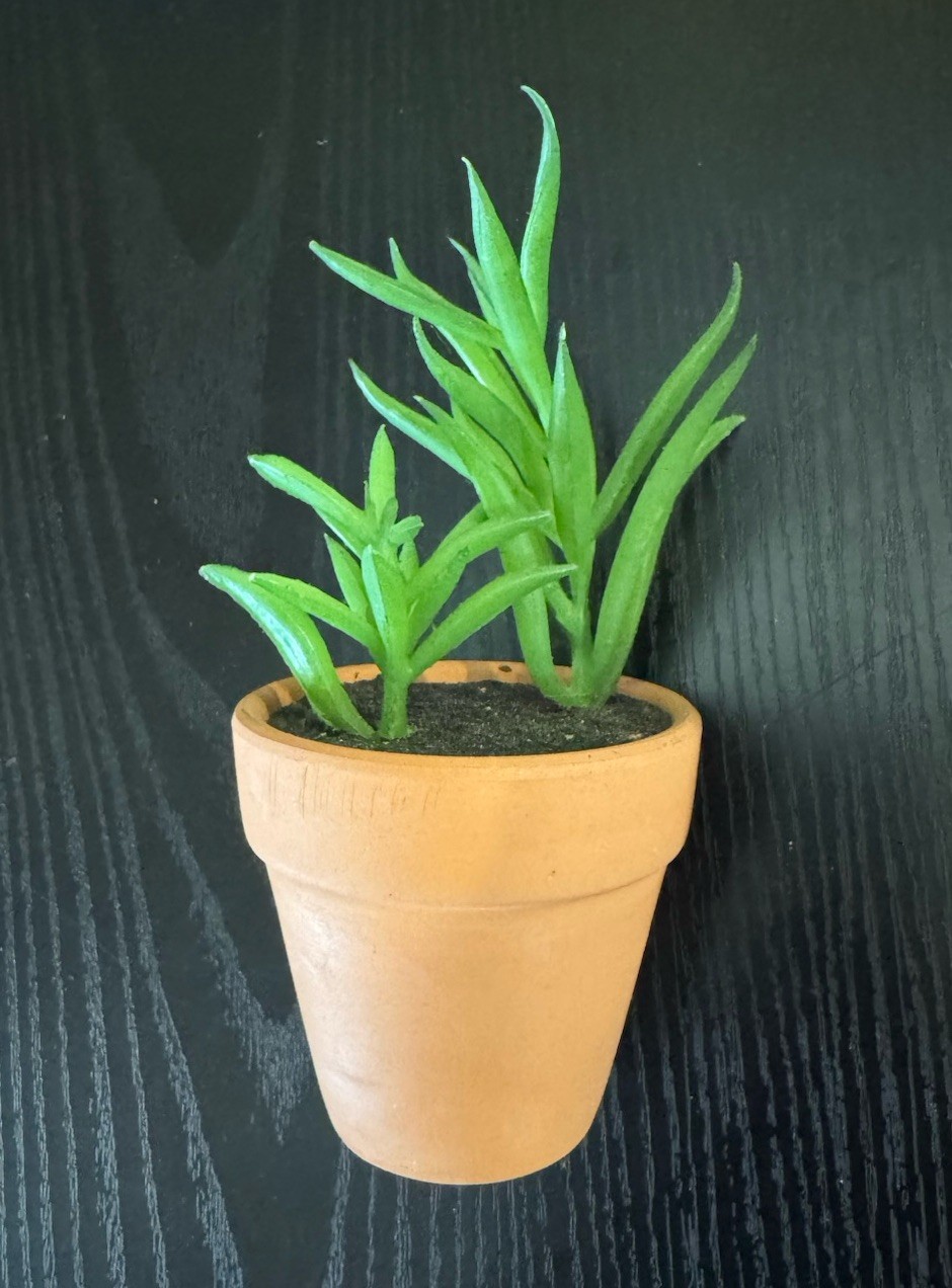 6 Piece Small Assorted Fake Plant Decor – Used Condition