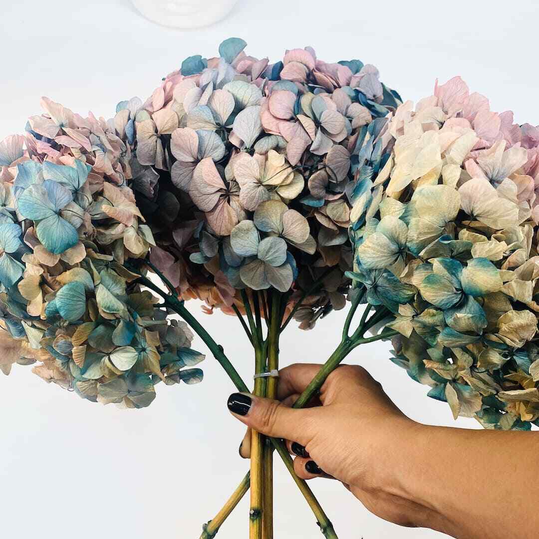 Preserved Hydrangea Big Leaf Dried Flowers Home Wedding Bouquet Decor
