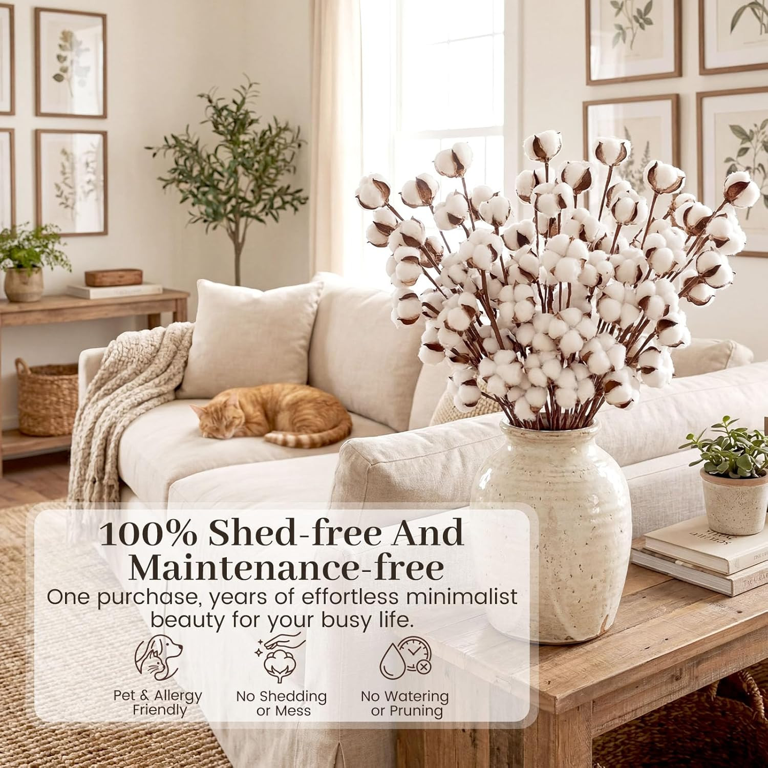 30PCS Natural Dried Cotton Stems 16″ Tall, Rustic Cotton Sprigs for Vase Fillers