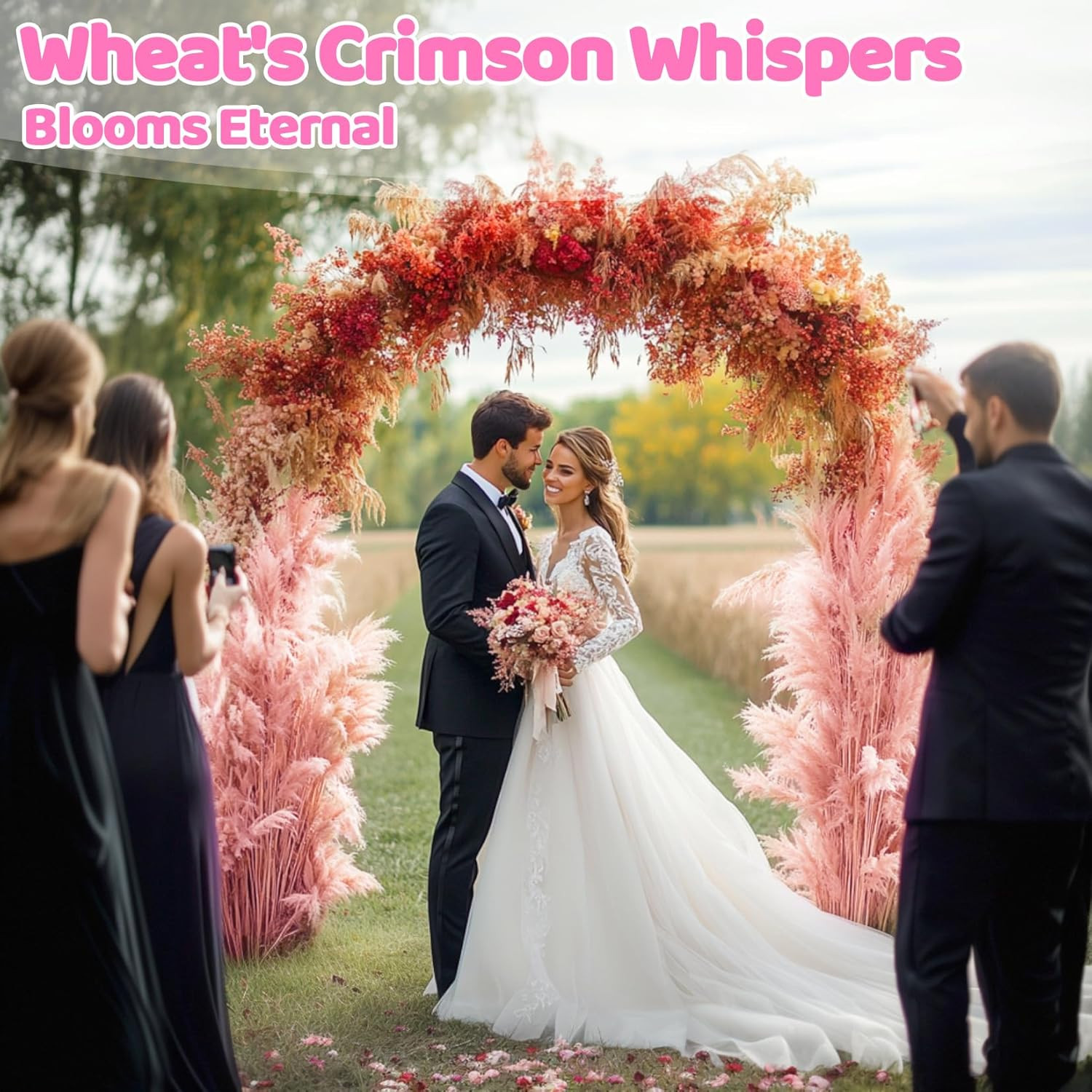 50 Stems Dried Wheat Stalks for Decor Sheaves Grass Natural Bunch Flowers Pink