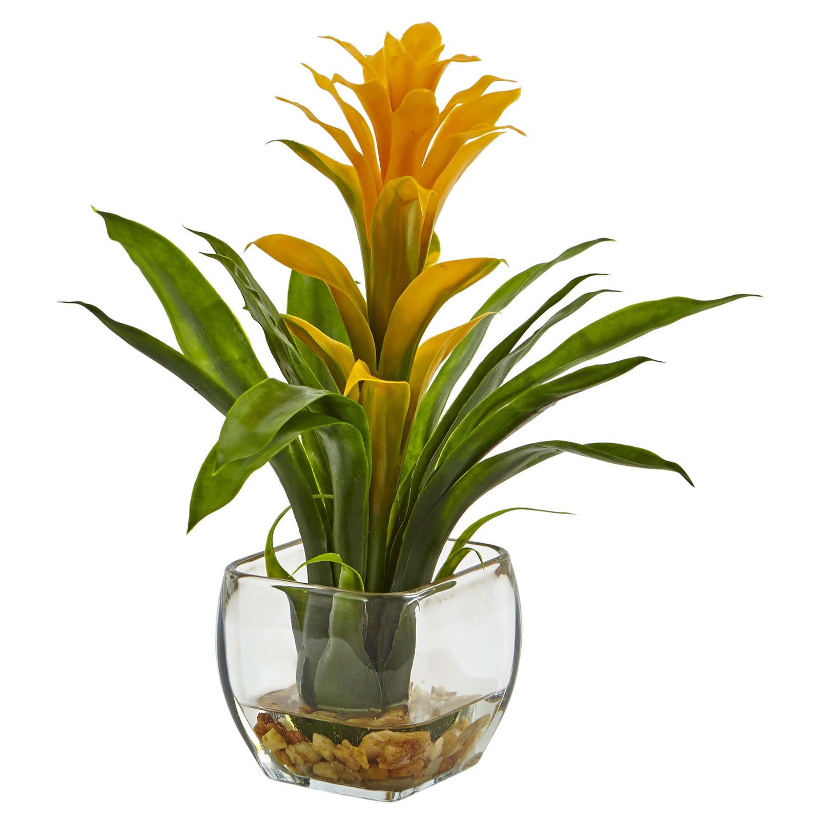 12 Inch Bromeliad Plant Arrangement in Square Glass Vase with Pebbles