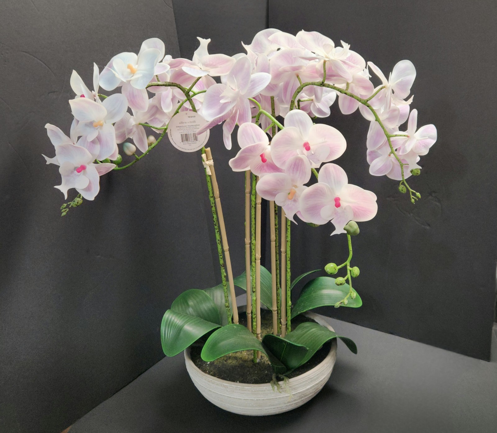 Allen + Roth Silk Artificial Orchid – New