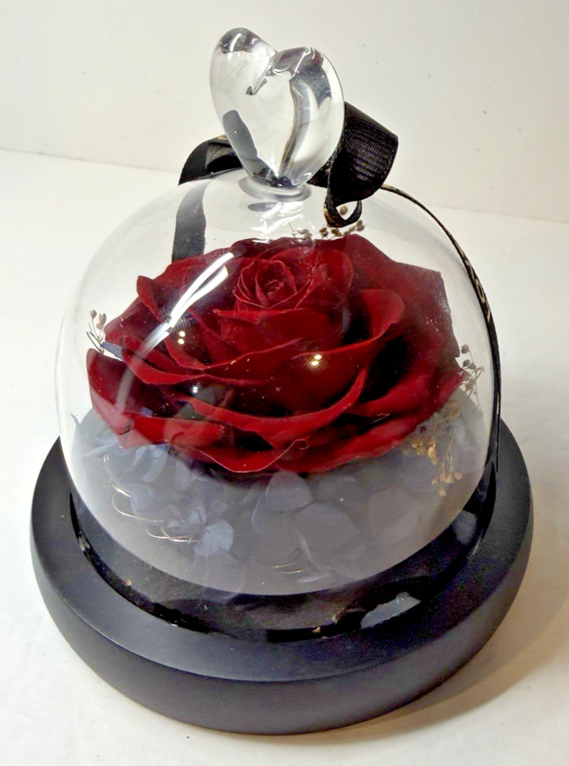 Real Preserved Forever Rose LED Eternal Rose For Your Eternal Love In Glass Dome