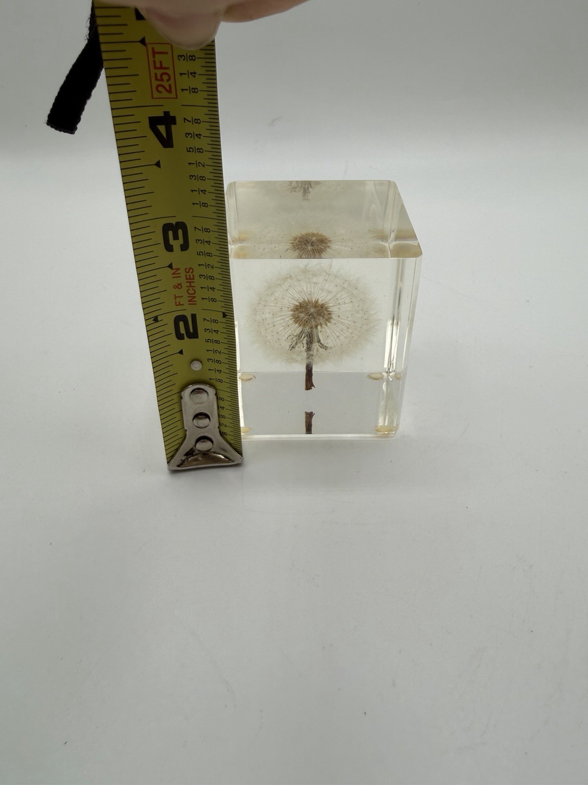 Dandelion Flower Specimen Paperweight 2.25” Resin Cube Acrylic Decor Desk Home