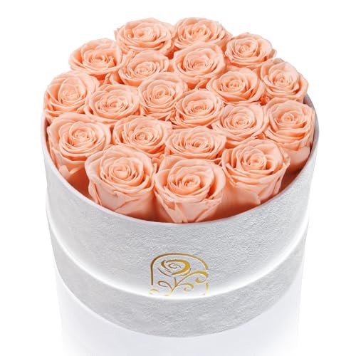 Gifts for Women Preserved Roses Flower Box, Luxury Velvet 20 Roses Peach Pink