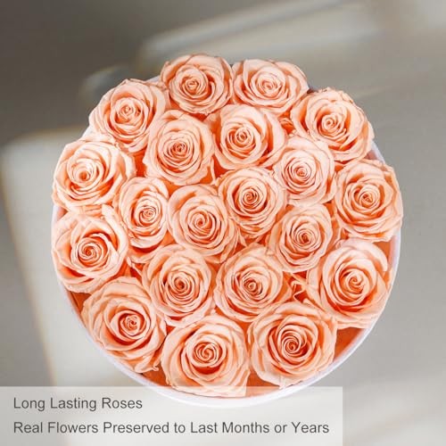 Gifts for Women Preserved Roses Flower Box, Luxury Velvet 20 Roses Peach Pink
