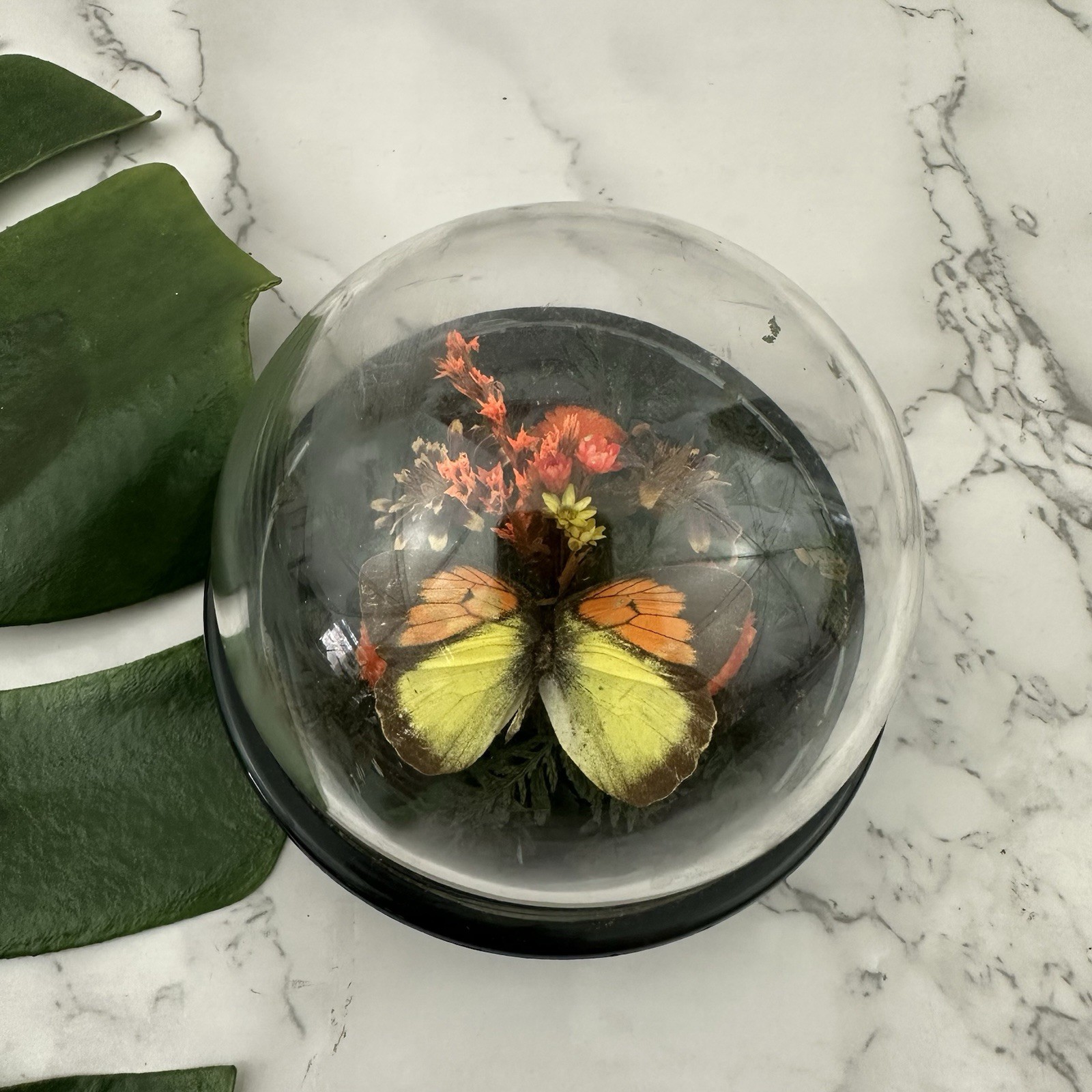 Vintage 80s Butterfly Cloche Dome Bubble Cottage Decor Plastic Orange Floral